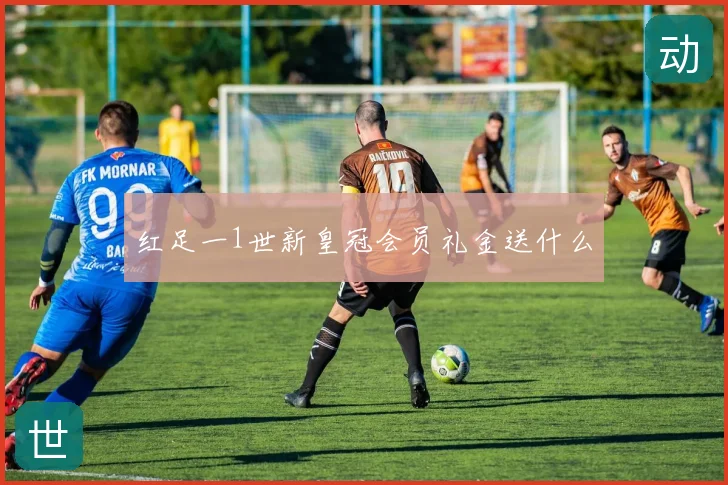 红足一1世新皇冠会员礼金送什么