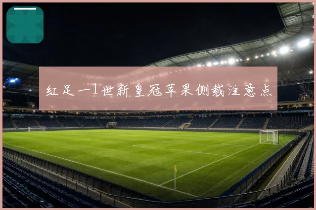 红足一1世新皇冠苹果侧载注意点